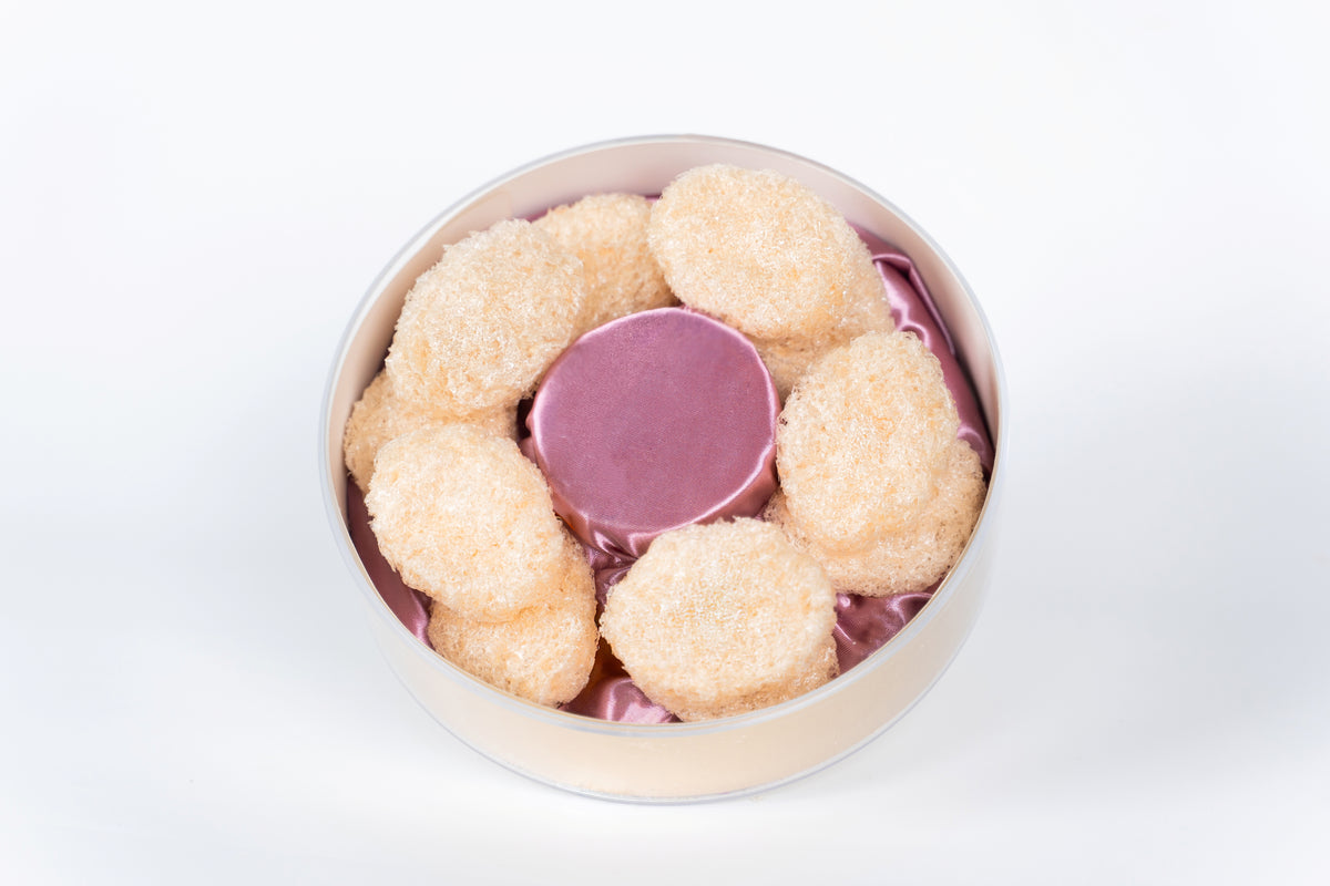 Premium Dried Bird Nest Biscuits