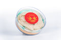 Premium Dried Bird Nest Whole Strips